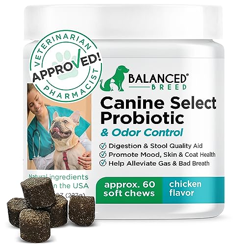 Balanced Breed Pet Probiotics Dogs Digestive Health Dog Probiotics Yeast Itchy Skin Itchy Ears Dog Probiotics Digestive Enzymes Anti Diarrhea Dogs Probiotic Dog Probiotic Chews Dogs Gut Health Itching