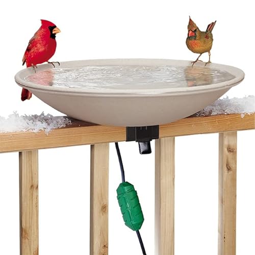 Best Electric Bird Bath Fountain