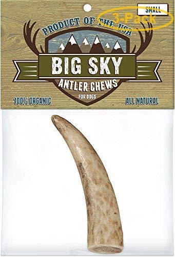 Big Sky Antler Chew for Dogs Small - 1 Antler - Dogs 5-40 lbs - (4"-5" Chew) - Pack of 3