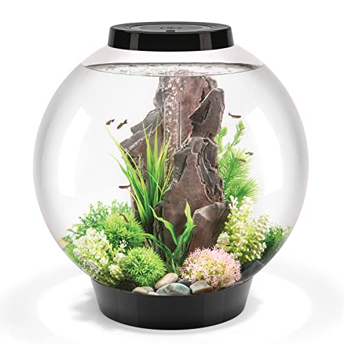 biOrb Classic 60 Acrylic 16-Gallon Aquarium with White LED Lights Modern Tank for Tabletop Display, Black