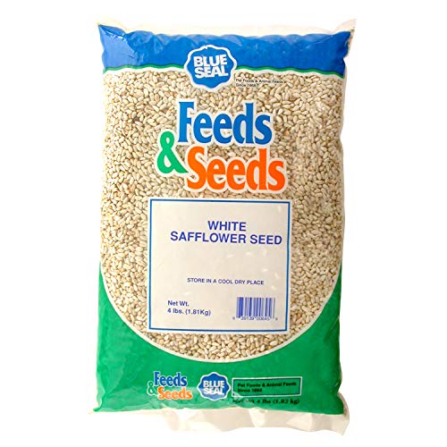Blue Seal White Safflower Wild Bird Seed | High in Fats and Protein | Attracts Variety of Birds | 4 Pound Bag