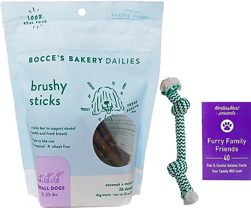 Bocce's Bakery Brushy Sticks Dental Care Fresh Breath Dog Chews - Small Snacks for Pups 5-25 Lbs (26 Count) - Plus Rope Toy and Fun Animal Facts Booklet Bundle