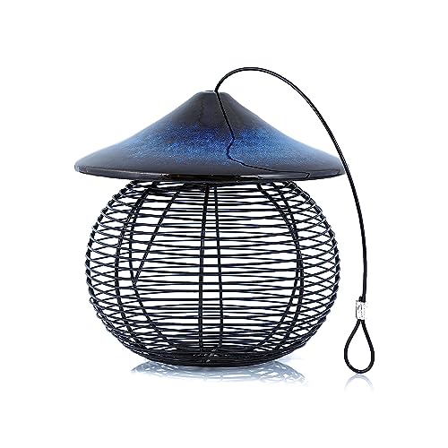 Byer of Maine Alcyon Sphere Bird Feeder for Outdoors, 3 lbs