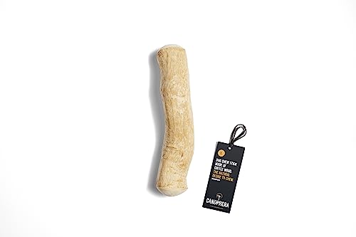 Canophera Coffee Wood Dog chew Sticks for Regular chewers - Size Large