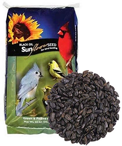 CountryMax Backyard Seeds Black Oil Sunflower for Wild Birds (50 Pounds)