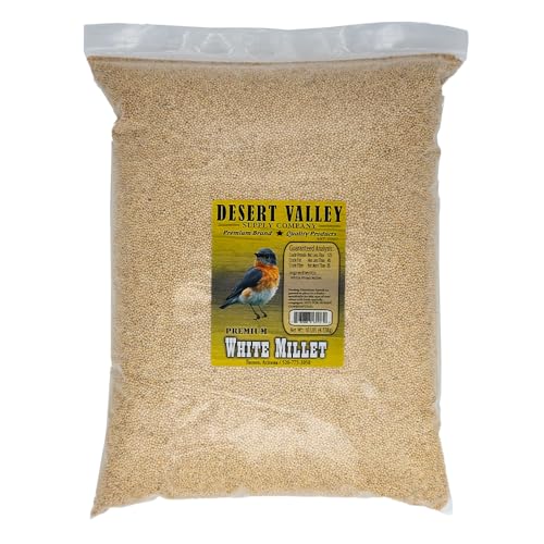 Desert Valley Premium White Millet Proso Seeds - Wild Bird Food, Cardinal, Finches & More (10-Pounds)