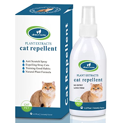 DEWEL Cat Deterrent Spray Indoor, Cat Repellent Indoor for Cat and Kitten, Cat Scratch Deterrent Training Aid for Furniture, Sofas, Rugs, Curtains, Plants, Cat Deterrent Indoor and Outdoor