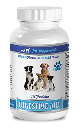 dog bad breath treats - DOG DIGESTIVE AID PROBIOTICS - NATURAL APPROACH - SOLUTION TO BAD BREATH AND GAS - COUNTER DIARRHEA - dog probiotics enzymes - 1 Bottle (60 Treats)