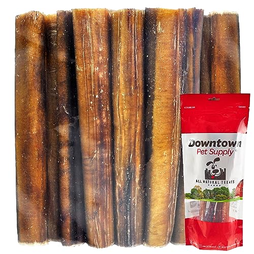 Downtown Pet Supply 6 inch Bully Sticks for Large Dogs, 5 Pack of Jumbo Extra Thick Treats for Aggressive Chewers, Single Ingredient, Rawhide-Free Long Lasting Dental Chews for Big and Medium Dogs