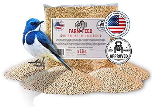 FAMILY FARM AND FEED | Four Seasons | White Millet | Wild Bird Food | Backyard Songbird | 3 Pounds