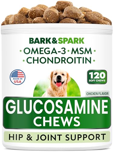 Glucosamine Chondroitin Dog Hip & Joint Supplement - Joint Pain Relief - Hip & Joint Chews for Dogs - Joint Support Large Breed - Senior Doggie Vitamin Pills Joint Health - (120 Treats - Chicken)