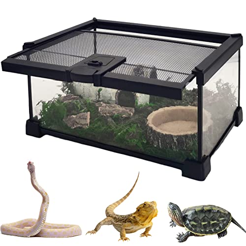 Hamiledyi Mini Reptile Glass Terrarium Tank,12"x8"x6" Micro Snake Habitat Transparent Hermit Crab Breeding Box Small Amphibians Enclosure Cage for Baby Tortoise Gecko Lizard