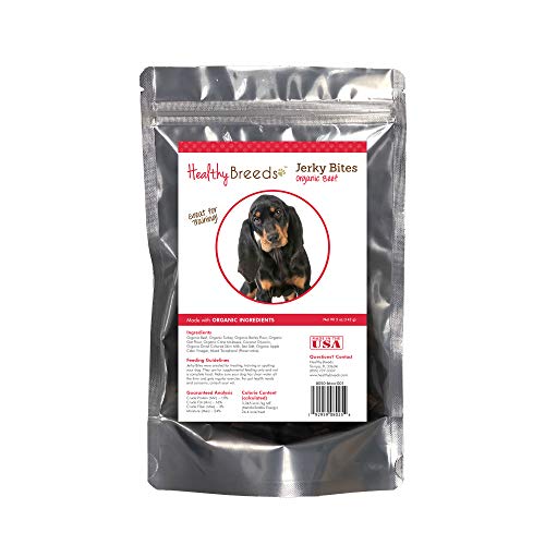 Healthy Breeds Black and Tan Coonhound Jerky Bites Beef Recipe Dog Treats 5 oz