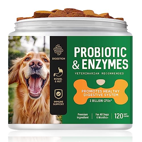 iFuntecky Probiotics for Dogs, Probiotic Soft Chews for Dogs with Digestive Enzymes, Dog Probiotics for Yeast, Itchy Skin and Itchy Ears, Relief Allergy, Diarrhea, Gas, and Upset Stomach, 120 Chews