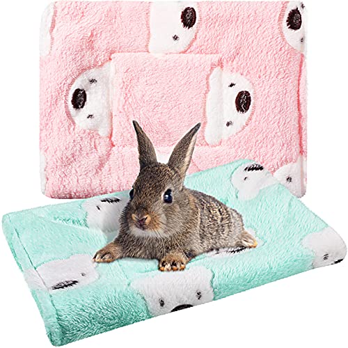 Bunny Bedding To Keep Rabbits Warm 2023 Vet Ranch We Love Pets