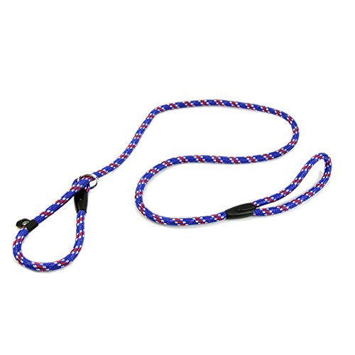 Juanshop 1CM Dog Whisperer Cesar Millan Style Slip Training Leash Nylon Rope Lead Collar (Blue)