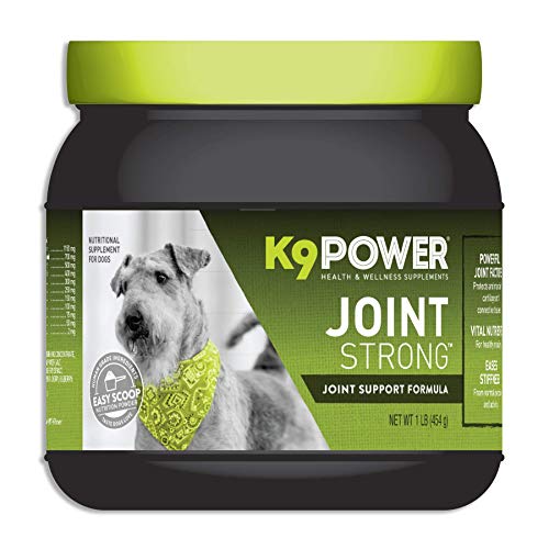 K9 Power - Joint Strong, Nutritional Supplement for Dogs, Joint Health & Mobility Support, Glucosamine, Curcumin, Chondroitin, 1lb