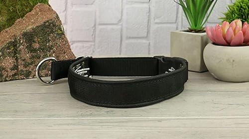 Keeper Collar Hidden Prong with Snap (15, Black)