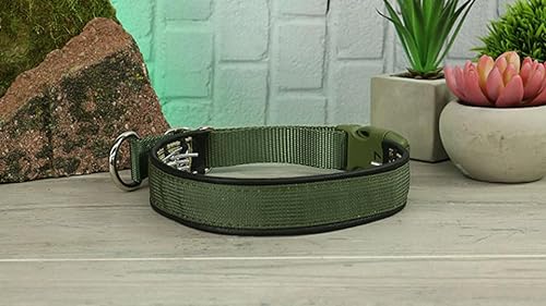 Keeper Collar Hidden Prong with Snap (19, Green)