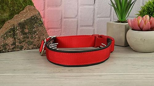 Keeper Collar Hidden Prong with Snap Red (12)