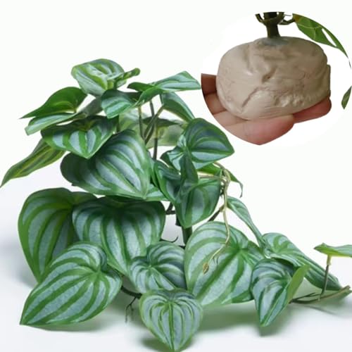 KERUIDENG Reptile Plants for Terrarium Decor,Amphibian Habitat Decor,Artificial Plants for Gecko Chameleon Snake Tortoise Tank Accessories with Base (Green Watermelon peperomia)