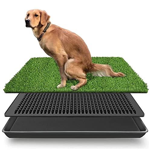 LOMANTOWN Dog Artificial Grass Potty Trainer, 3 Layered System Dog Pee Fake Grass Pad for Indoor Outdoor Puppy Training (30 x 20 Grass with Tray)