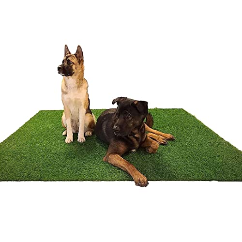 LOMANTOWN Turf Grass for Dogs Artificial Fake Grass Pad Trainer, 6 x 6 FT Dog Grass Potty Pad (6 x 6 ft Grass Mat)