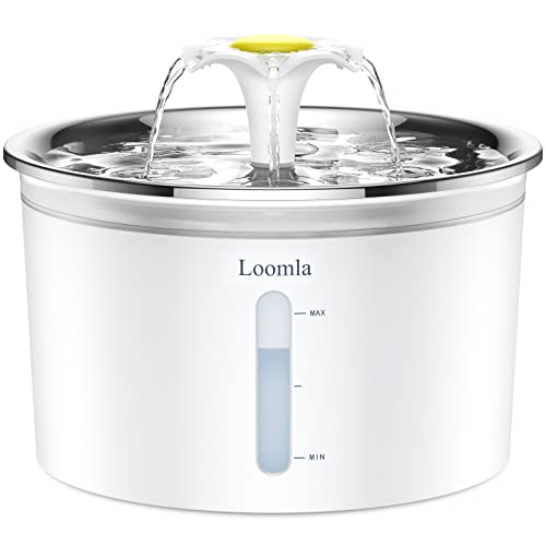 Loomla Cat Water Fountain, 85oz/2.5L Pet Water Fountain Indoor, Automatic Dog Water Dispenser with Switchable LED Lights, 2 Replacement Filters for Cats, Dogs, Pets（Stainless Steel）