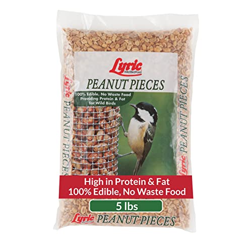 Lyric 2647464 Peanut Pieces Wild Bird Food, 5 lb