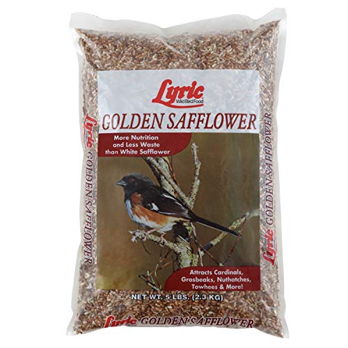 Lyric Golden Safflower Seed - Attracts Cardinals, Chickadees, Woodpeckers & More - 5 lb Bag