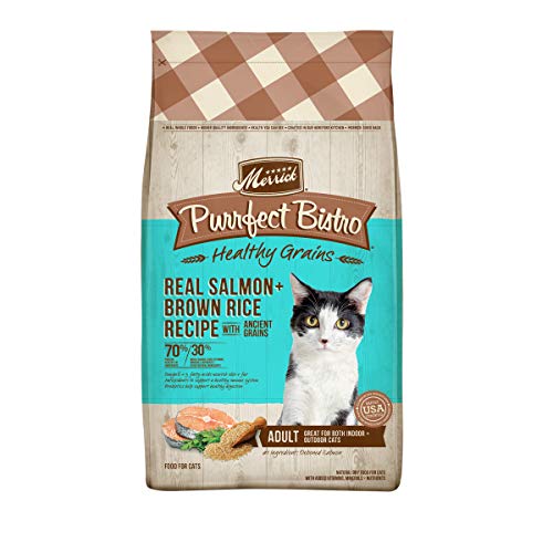 Best Grain Cat Food 2024 - Vet Ranch - We Love Pets