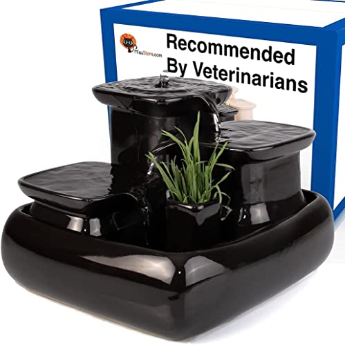 Miaustore Premium Ceramic Cat Water Fountain - Motion Sensor Activated, Doesn’t Need Filters, Easy to Clean, Dishwasher Safe, Pet Drinking Fountain with Bowl for Cat Grass Inside - Black