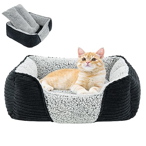 Miguel Washable Cat Beds for Indoor Cats with Removable Cushion, Easy to Clean Small Pet Sofa Bed with Side, Rectangle Bolster Kitten Bed Calming Cuddle Puppy Bed with Anti-Slip Bottom, Black 20 Inch