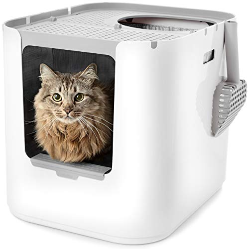 Modkat® XL Litter Box, Top or Front-Entry Configurable, Includes Scoop and Liners - White