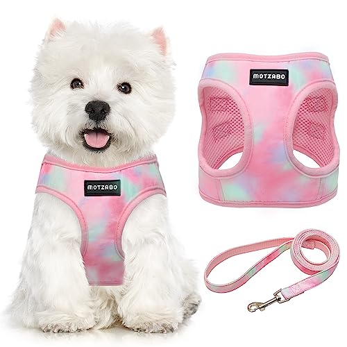 MOTZABO Dog Harness for Small Dogs - No Pull Step in Dog Harness and Leash for Walking Hiking Training etc. - Cute Pink Breathable Mesh Full Body Small Dog Harness