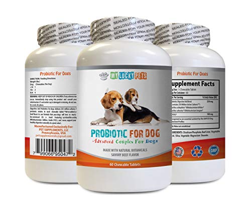 MY LUCKY PETS LLC Dog probiotic Digestive enzymes - Dog PROBIOTICS - Bad Breath and Passing Gas Solution - Oral Health - lactobacillus salivarius probiotic - 1 Bottle (60 Treats)