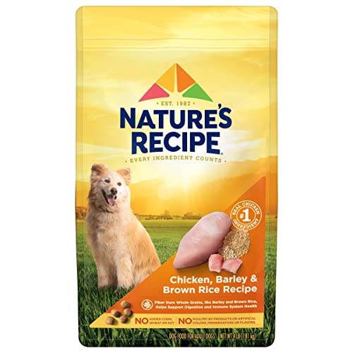 Nature’s Recipe Adult Dry Dog Food, Chicken & Rice Recipe, 4 Pound Bag