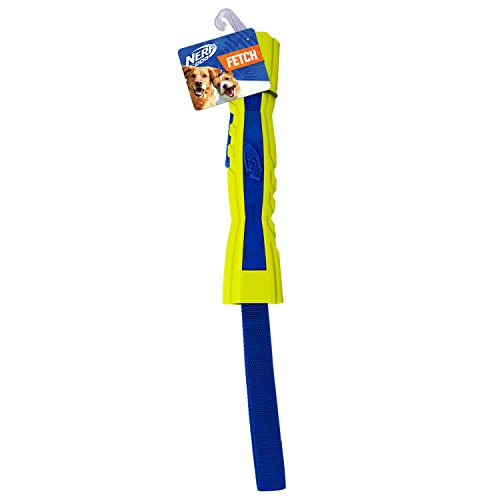 Nerf Dog 12in TPR/Foam Megaton Competition Stick - Blue/Green