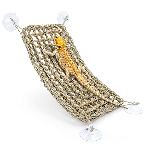 Niteangel Bearded Dragon Hammock Reptile Lounger for Chameleon, Lizards, Gecko, Snakes, Lguana Reptiles, Tortoises (Rectangle 16'' x 8'')