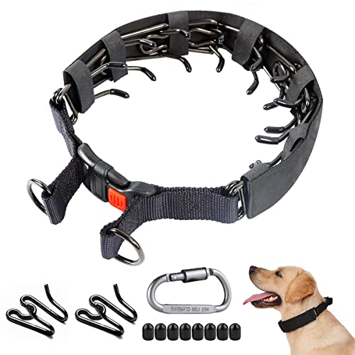 Prong Collar For Doberman 2023 - Vet Ranch - We Love Pets