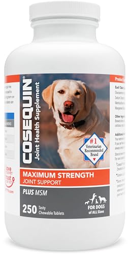 Nutramax Cosequin Maximum Strength Joint Health Supplement for Dogs - With Glucosamine, Chondroitin, and MSM, 250 Chewable Tablets