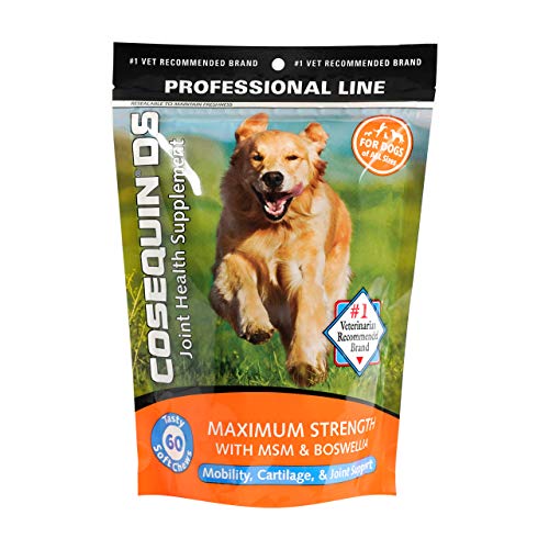 Nutramax Laboratories Cosequin DS Plus MSM Professional Line for Dogs, 60 soft chews