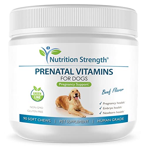 Nutrition Strength Prenatal Vitamins for Dogs to Support Development of Healthy Puppies, Promote Milk Production, with Folic Acid, Iron, Zinc, Iodine, B Vitamins for Pregnant Dogs, 90 Soft Chews