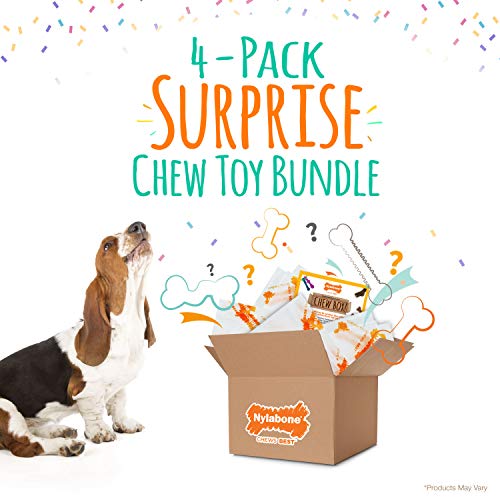 Nylabone Chew Toy Dog Surprise Box Variety Medium/Wolf (1 Count)