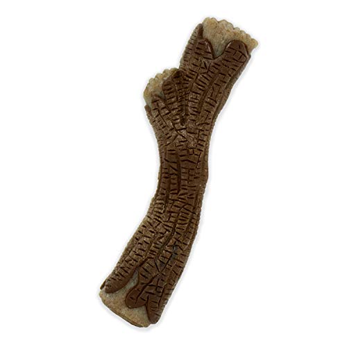 Nylabone Real Wood Stick Strong Dog Stick Chew Toy Maple Bacon Medium/Wolf (1 Count)