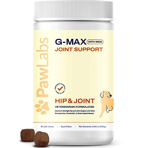 Pawlabs G-Max Joint Support - Maximum Strength Hip & Joint Supplement - Vet Formulated for Dog Arthritis Pain - Glucosamine, Chondroitin, MSM & Green-Lipped Mussel - Duck Flavor - 60 Soft Chews