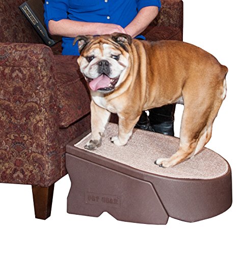 Pet Gear Stramp Stair and Ramp Combination for Dogs/Cats, Easy Step, Lightweight/Portable, Sturdy, Easy Assembly (No Tools Required) 2 Models, 3 Colors