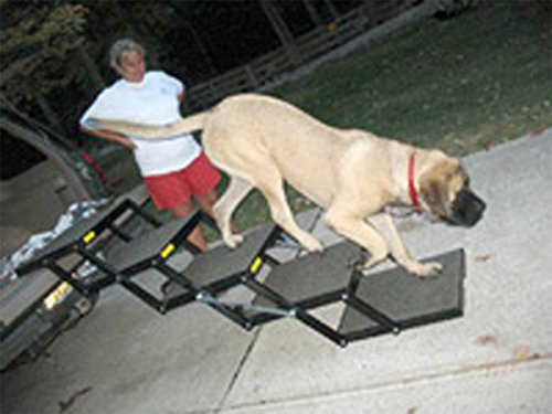 Pet Loader® XL 18" Platform, Plastic, 5-Step Portable Folding Dog Steps, Made in USA Carpeted, Great for Giant Breeds and All Dog Sizes. can add or Remove Steps Safely Carries 300 Pound Pets