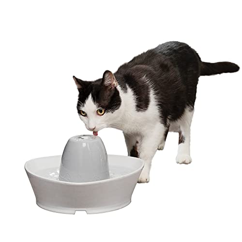 PetSafe Creekside Ceramic Pet Fountain – for Cats and Small Dogs – 60 Oz Water Capacity – Whisper-Quiet Water Flow – Great for Shy or Timid Pets – Fresh, Filtered Water,White