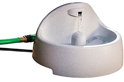 PetSafe Drinkwell Everflow Indoor/Outdoor Dog and Cat Water Fountain, Pet Drinking Fountain, 192 oz. Water Capacity Gray